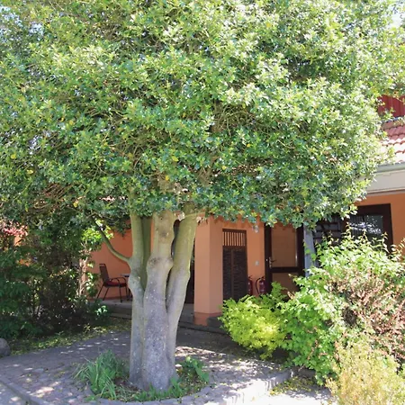 Apartman Haus Am Katersteig Fw 3 Wustrow